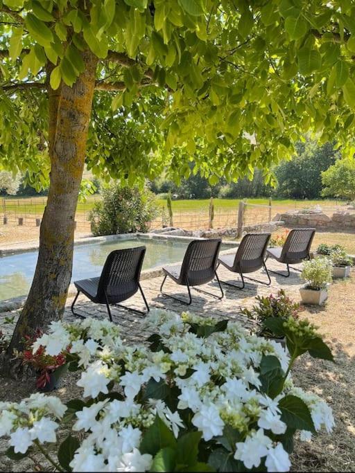 Quinta Vale Da Prata Villa Celorico Da Beira Ngoại thất bức ảnh